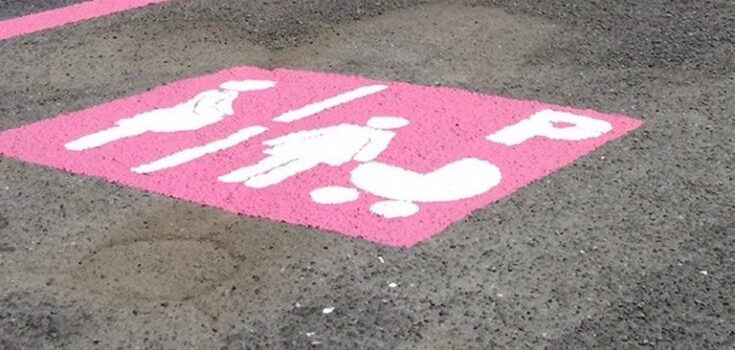 Mobilità: Famulari, “park rosa” a Trieste con fondi statali